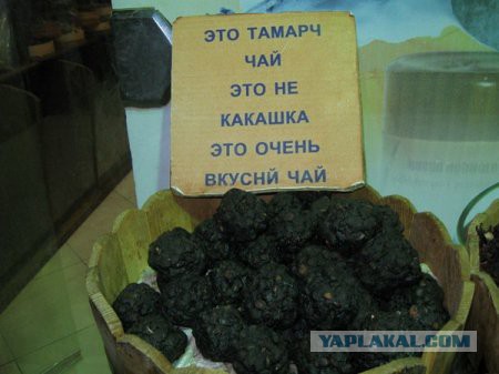 Смешные картинки из соц. сетей.