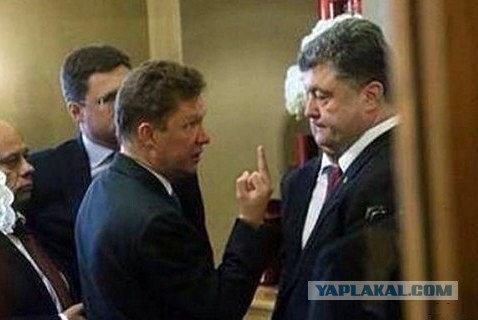 Смешные картинки