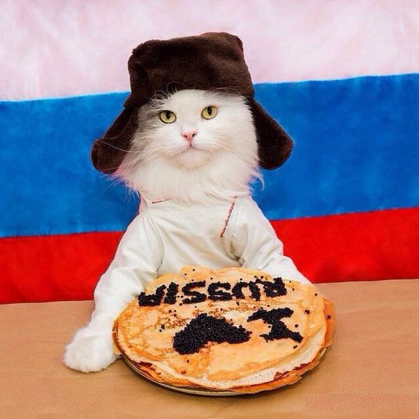 Подборка картинок
