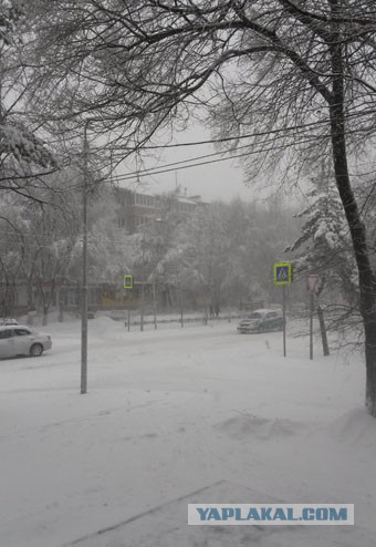 А тем временем в Хабаровске