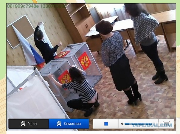 Веб-камеры на избирательных участках