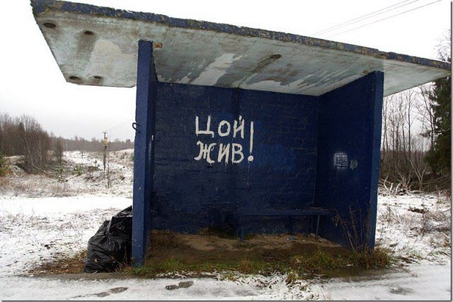 А Жой-то - Цив!