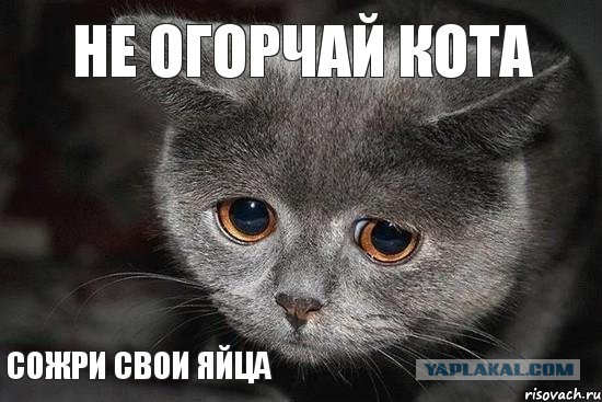 Котю огорчили! За ЧТОООО?