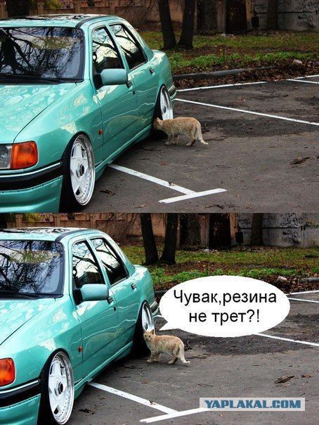 Автоприколы