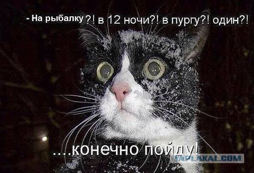 Сам ты Ми Ми Ми.