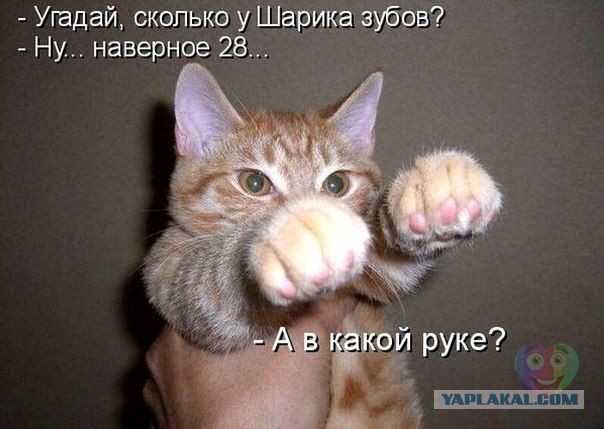 Картинки смешные и несмешные