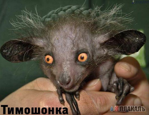 Юлечка Тимошенко