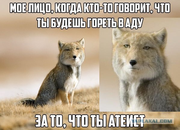 Абсурдный юмор ч.2