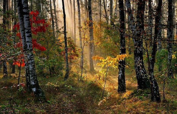 Подборка картинок 20.02.16