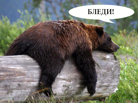 Английские леди на скачках такие леди