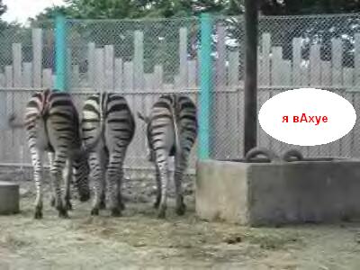 Фотожаба: Невидимый зверь