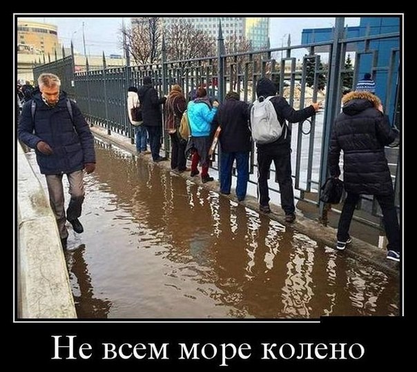 Подборка интересных и смешных картинок