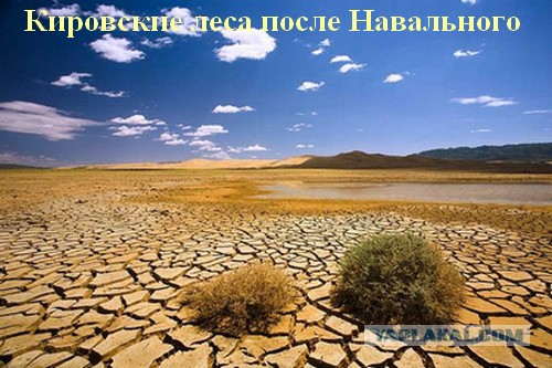 Верховный суд отменил приговор Навальному по делу «Кировлеса»