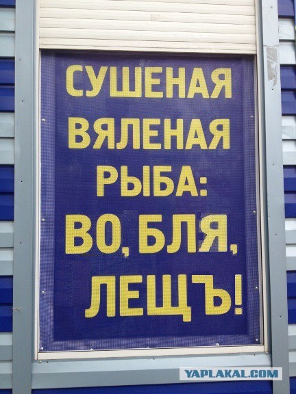 Дизайнер 80 уровня