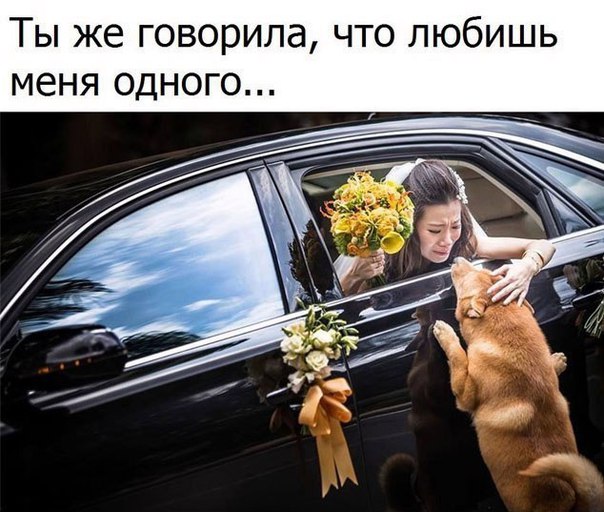 Подборка интересных и веселых картинок