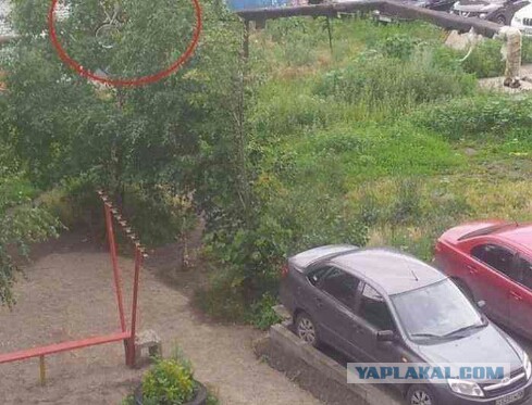 Веселые водители, которые паркуются необычным способом