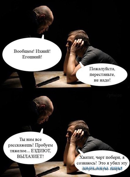 Подборка интересных и веселых картинок