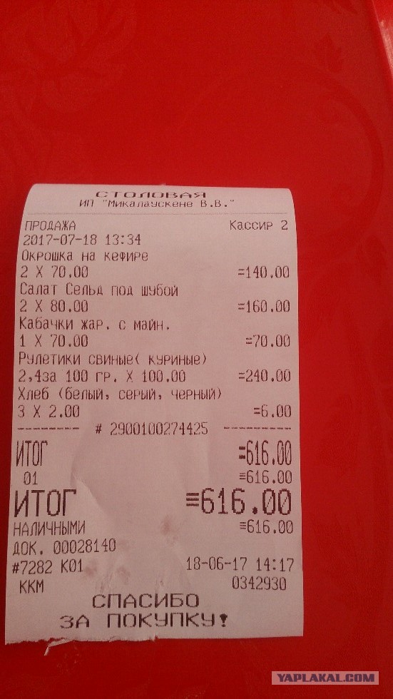 Вернулся из Сочи