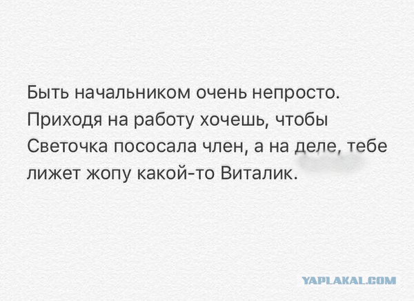 Забавные комментарии, шутки и фразы из этих ваших интернетов