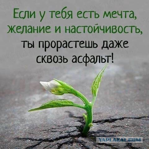 Известный маг рассказал, из-за чего 19 августа города будут «залиты кровью и огнем»