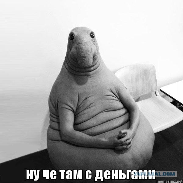 Как я стал "папиком"!