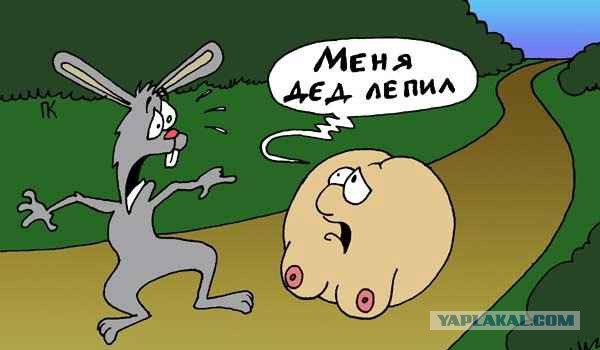 Вот откуда деньги у Собчак на предвыборную кампанию!