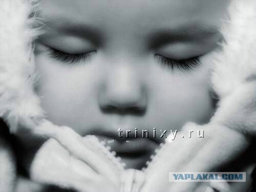 Шмакадявка и лимузин