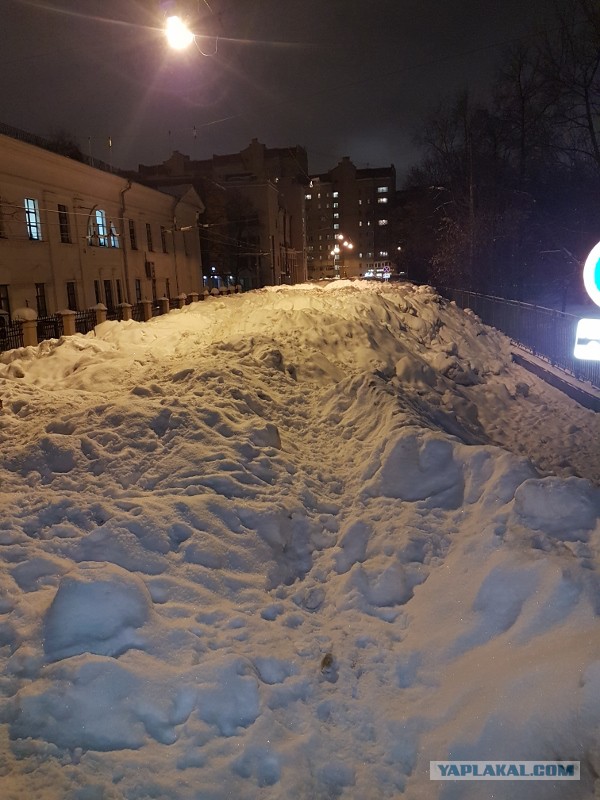 Снежные люди Сергея Собянина