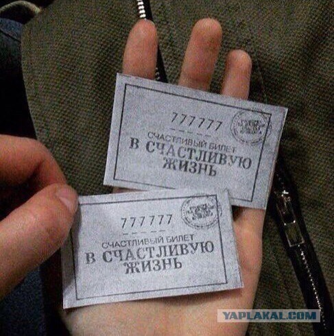 «Массовое уничтожение»: пассажиры круизного лайнера едва не умерли после недельной оргии 
