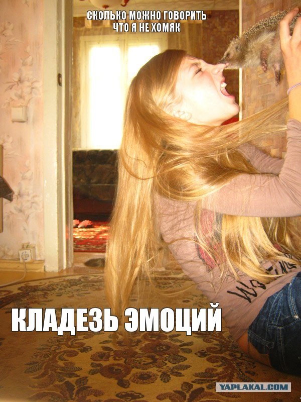 Откуда столько счастья и эмоций?
