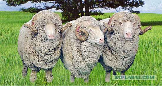 Курильщиков выгоняют на мороз