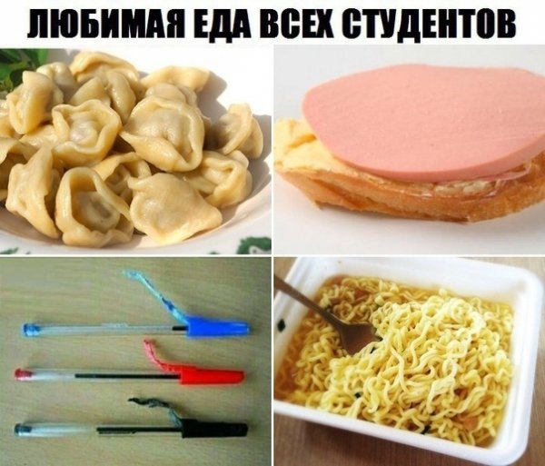 Бредзона 24.12.2019