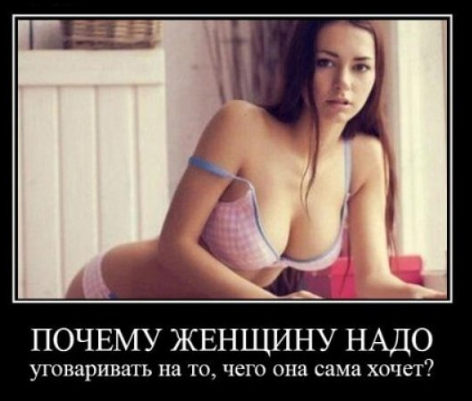 Ещё немного слегка пошлых картинок с надписями 16+ (16.06)