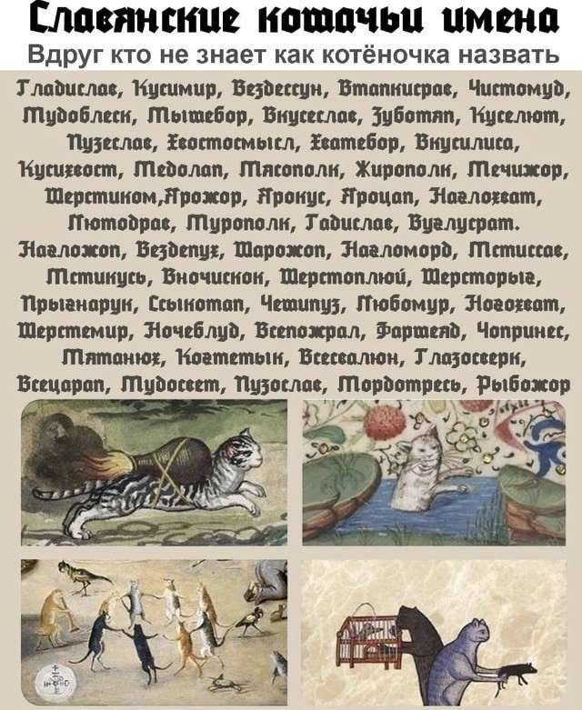 Чуток картинок. 04.08.20