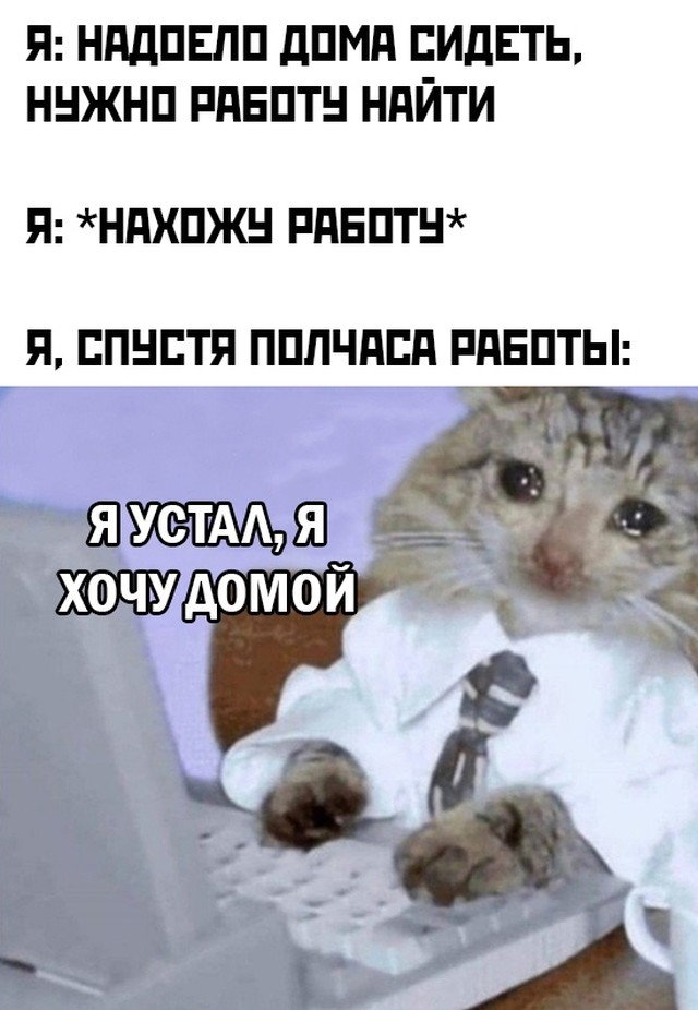 Баянисто-небаянистый юмор 15.02.21