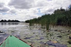 Живу в Херсоне