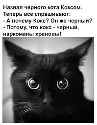 Предлагайте ваши варианты