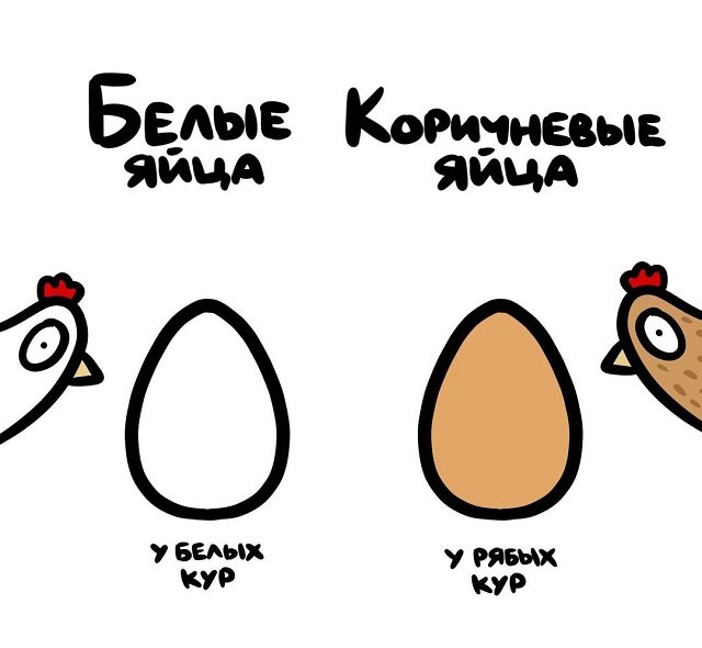 А может вы не знали...