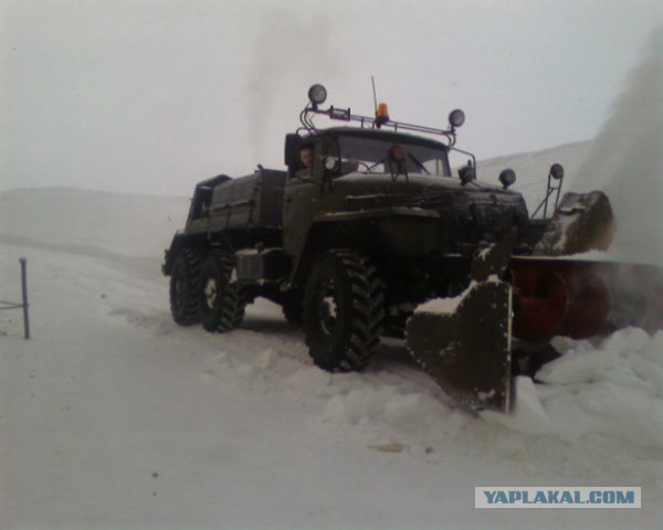 Жизнь на Новой земле.