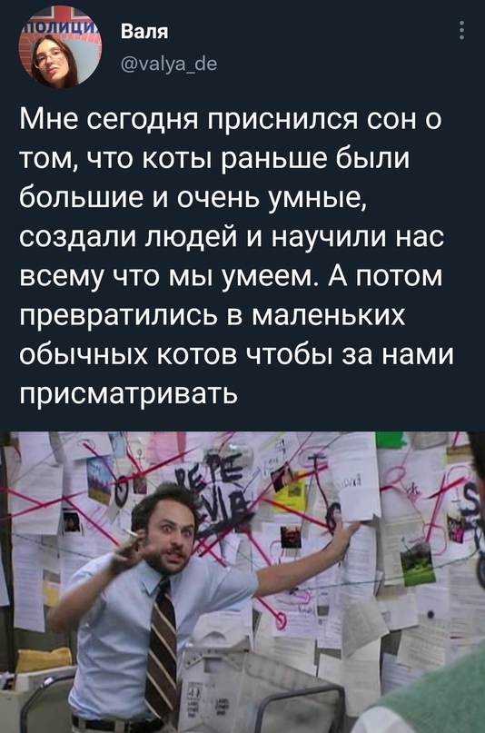 Весёлый полтишок 08.12