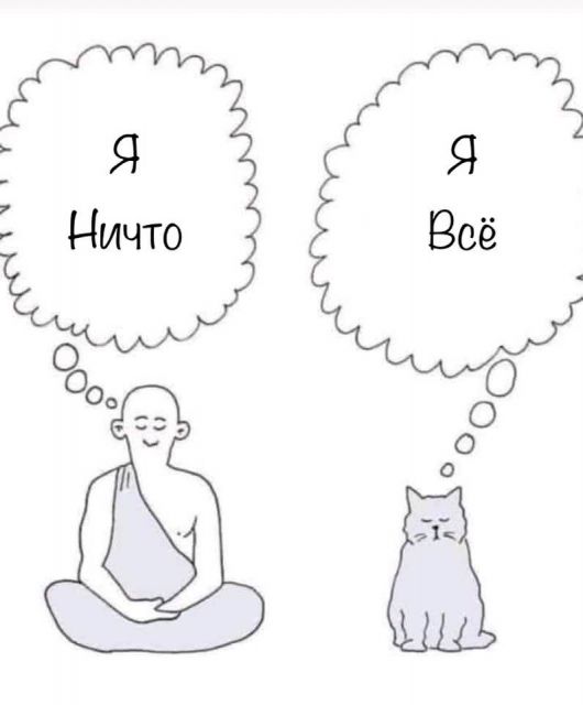 Котовторник. Картинки и буквы 08.02.22