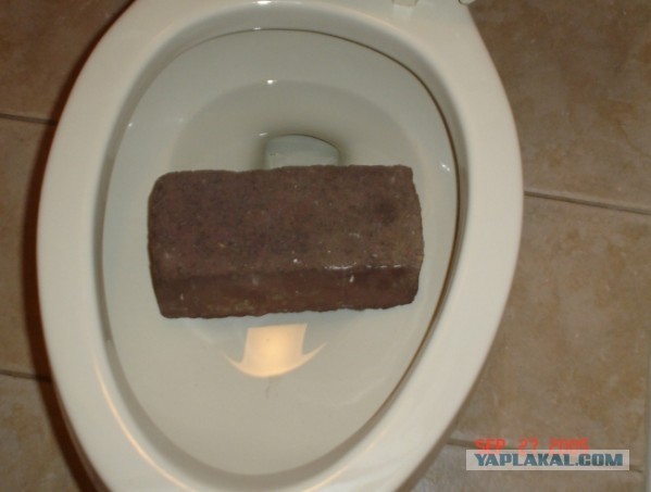Полный автобус кирпичей