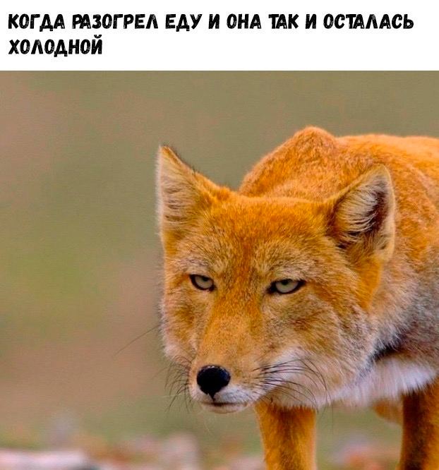 Прикольные и просто красивые картинки 15.07.2022