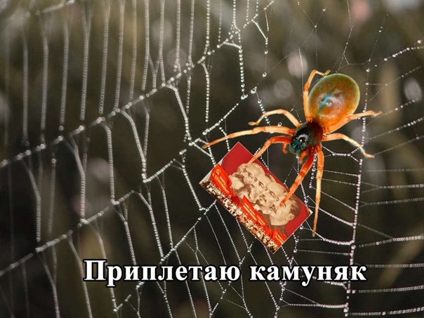 Почему в СССР запретили рыбий жир