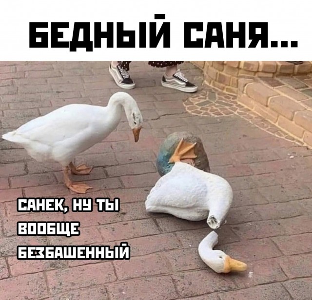 Немного картинок."Колбасный ветер". Август