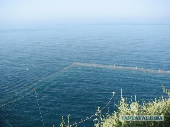 Мыс Тарханкут - самая западная точка Крыма.