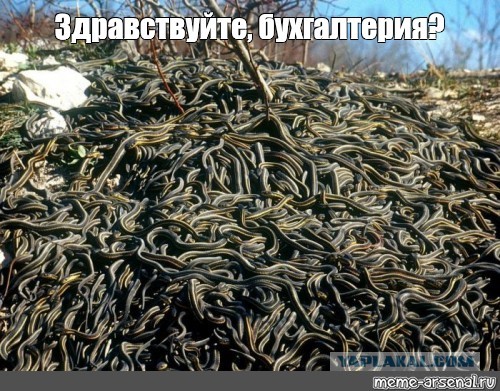 Ребята, а есть кто ещё считает бухгалтеров не работниками, а низшей кастой?