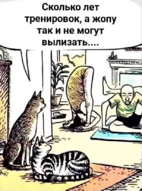 Картинки и мемы, всем хороших выходных