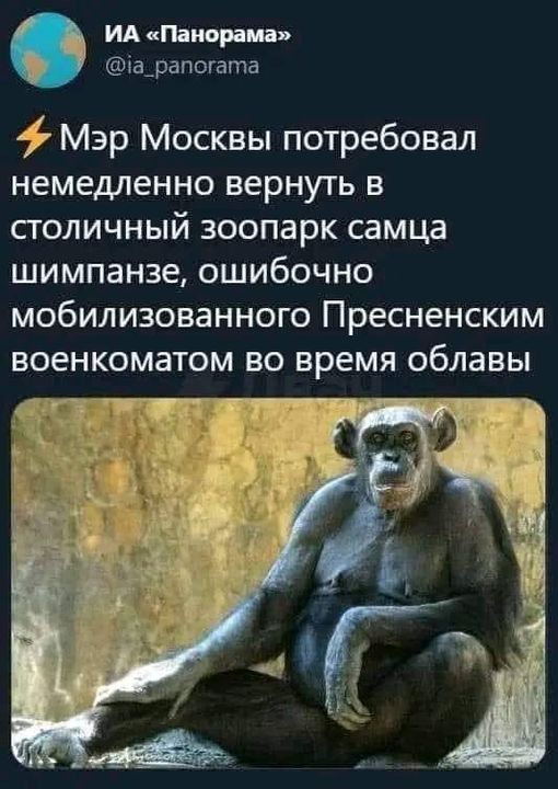 Пандемия съехавших крыш - разновидности болезни. Россия и мир. Часть 45.