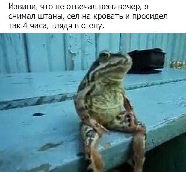 Так себе картинки 23.02.23